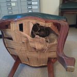 Замена ремней стульев в офисе